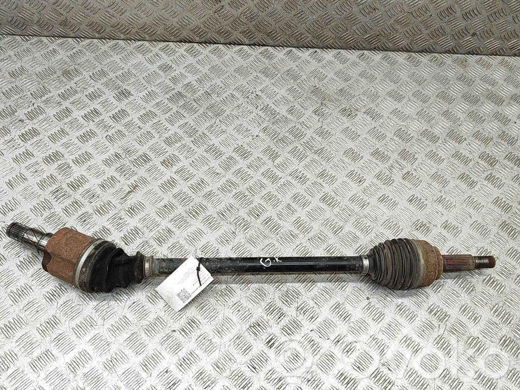 Galinis pusašis   102716100B