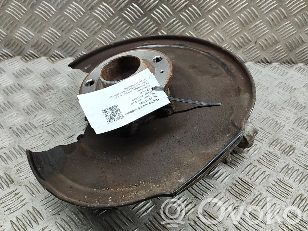 Polestar 2 Cubo de rueda trasera 