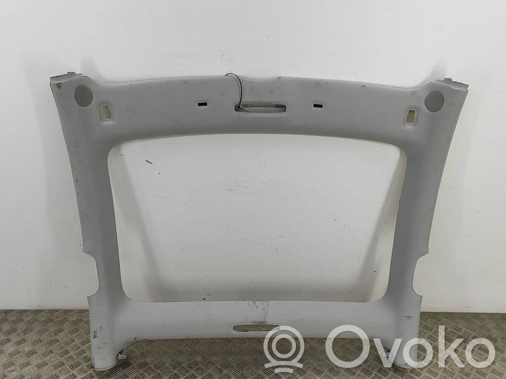 Tesla Model 3 Kattoverhoilu 