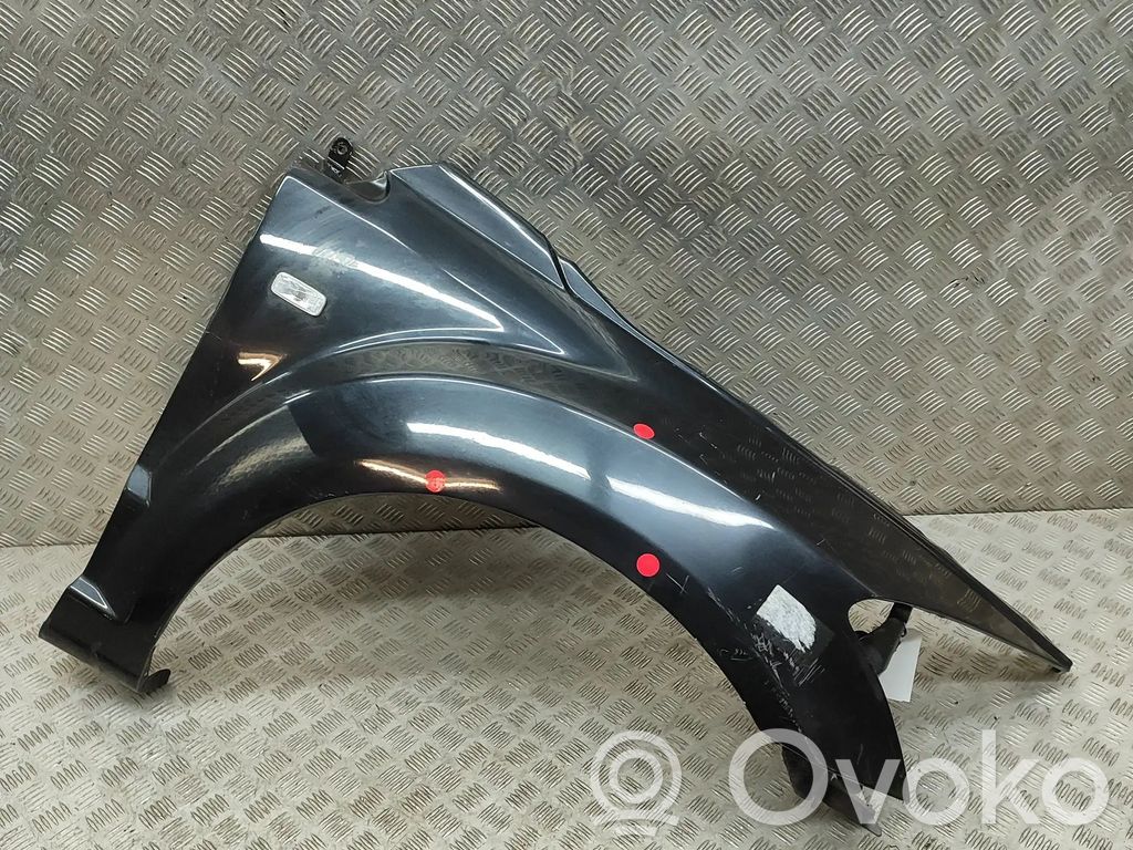 Kotflügel   5160020AC