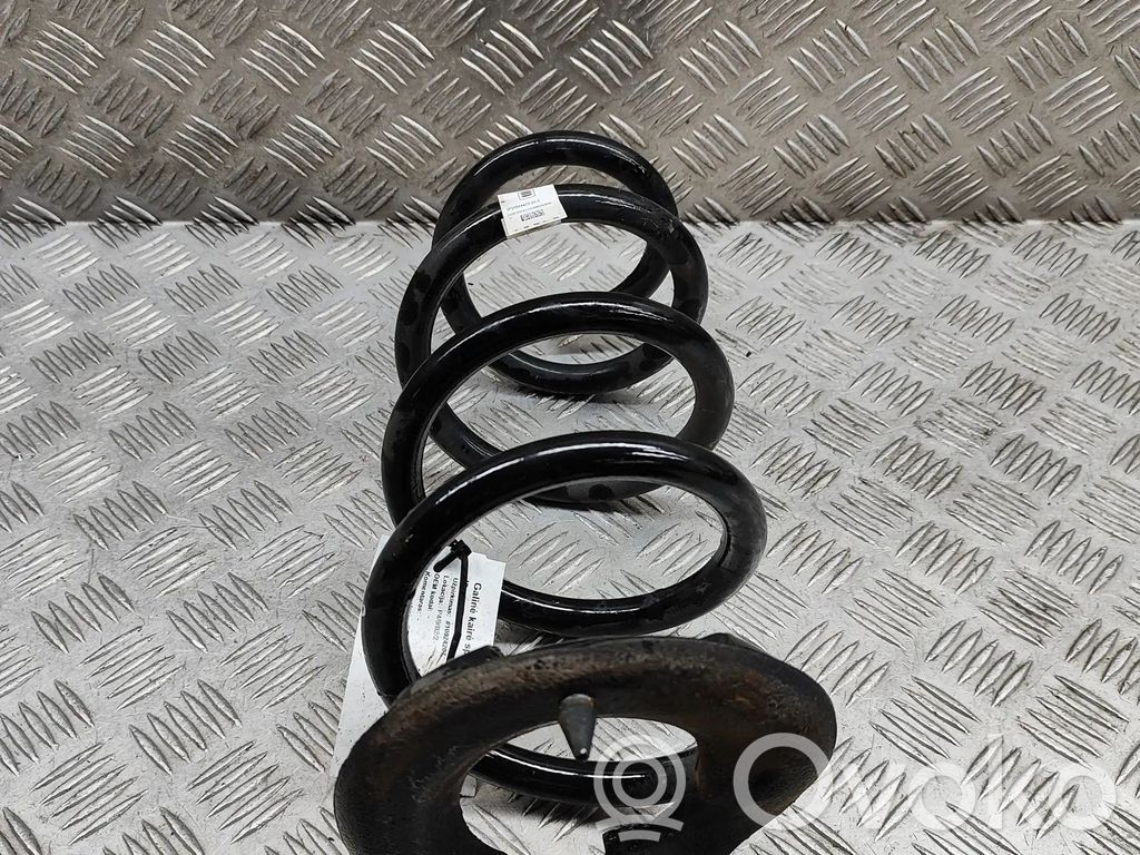 Rear coil spring   104447201E