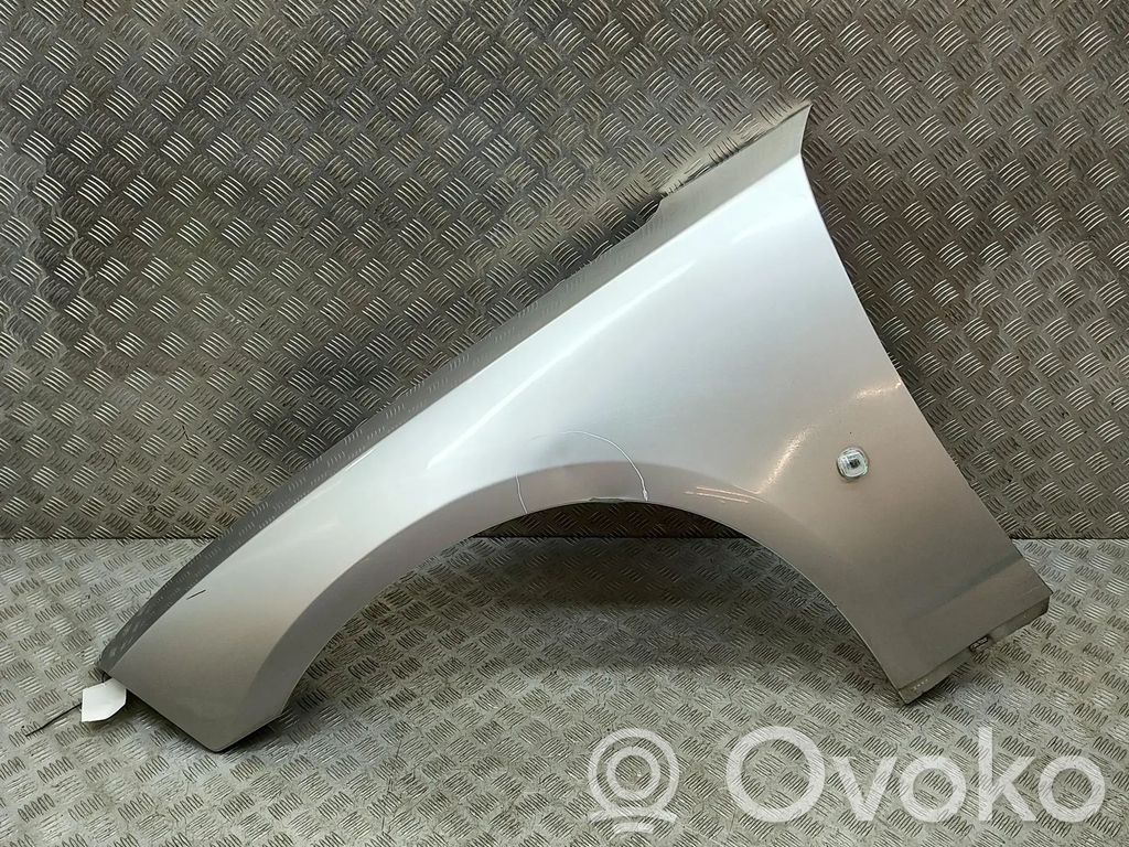 Błotnik przedni   5065289AC