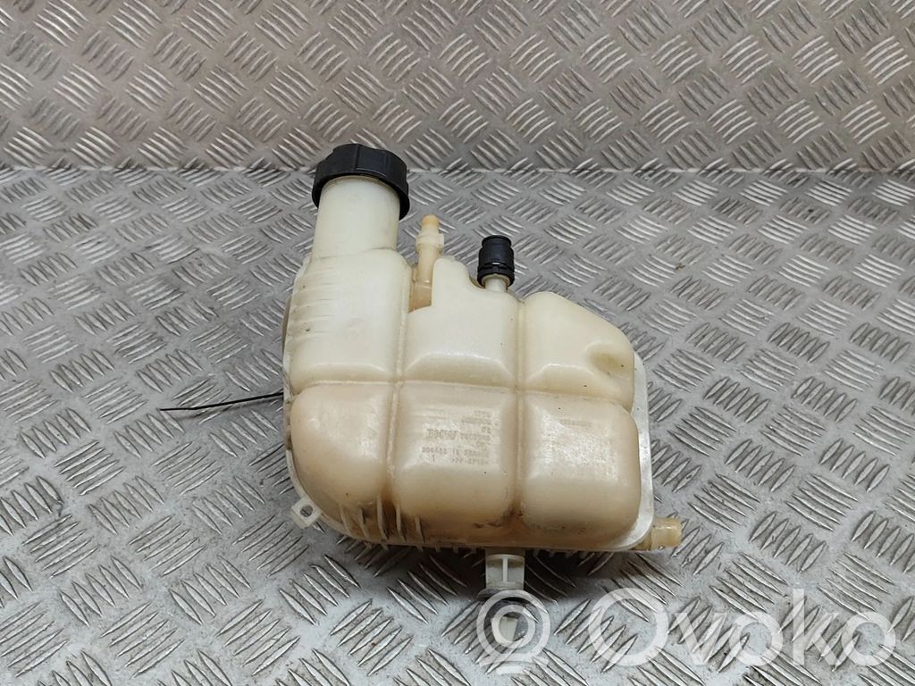 BMW X2 F39 Vas expansiune/rezervor lichid de răcire 