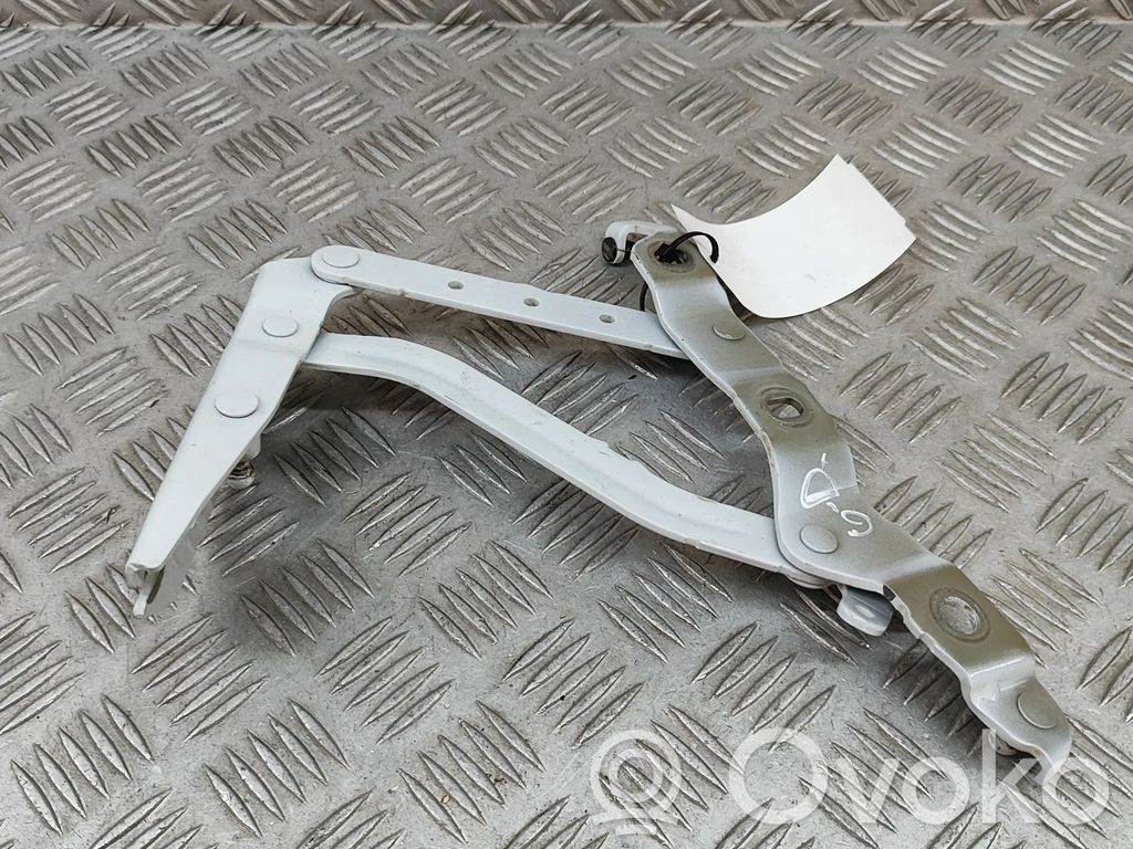 Audi A5 Tailgate/trunk/boot hinge 