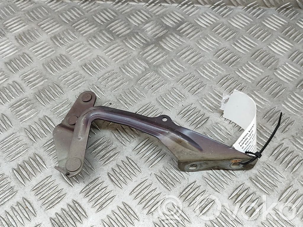 Ford Focus Engine bonnet/hood hinges 