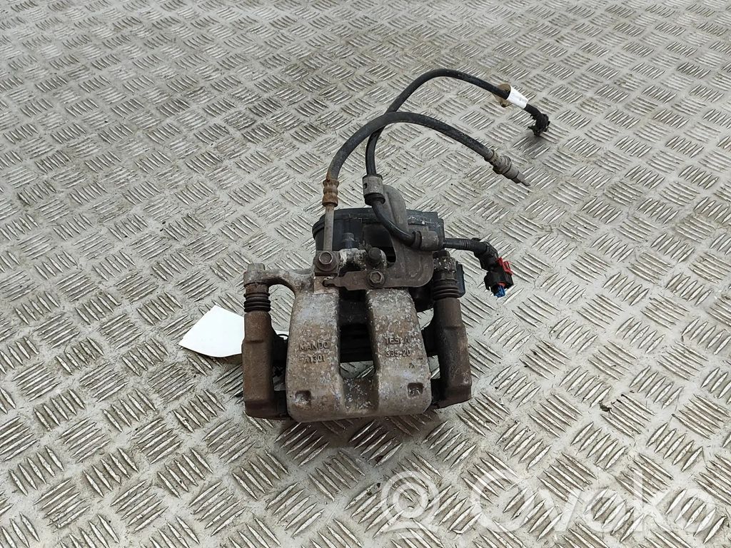 Takajarrusatula   104462400G