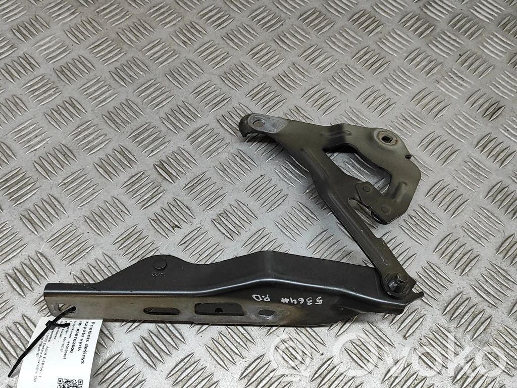 Audi E-tron GT Engine bonnet/hood hinges 