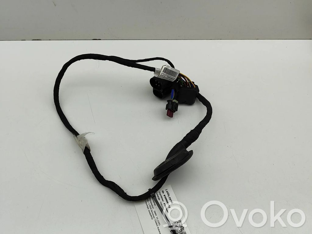 BMW X5 G05 Altro tipo di cablaggio 