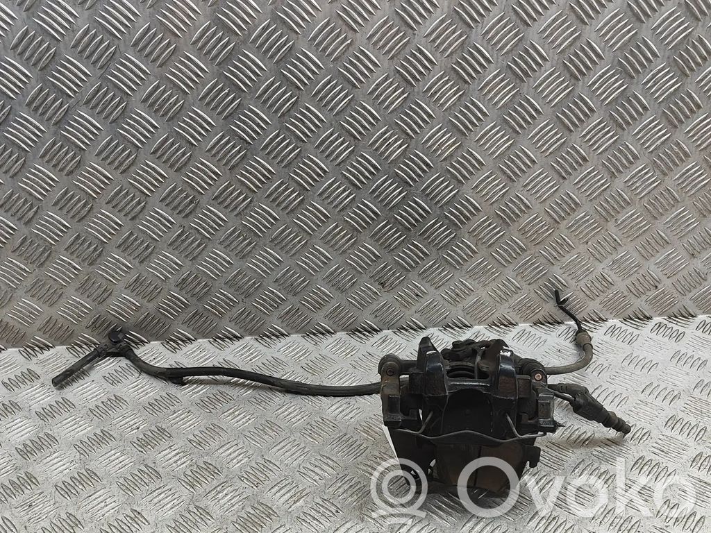 Takajarrusatula   8V0615405
