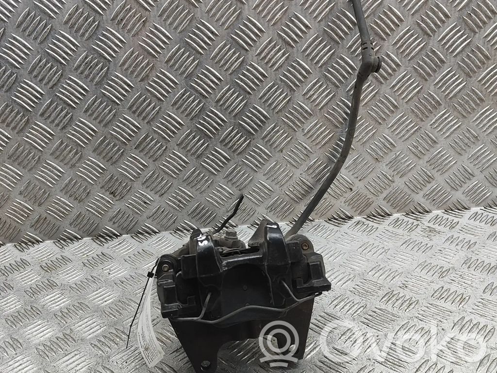 Takajarrusatula   8V0615406