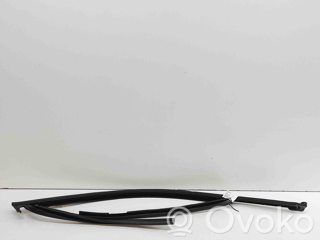 BMW X3 G01 Rivestimento modanatura del vetro della portiera anteriore 
