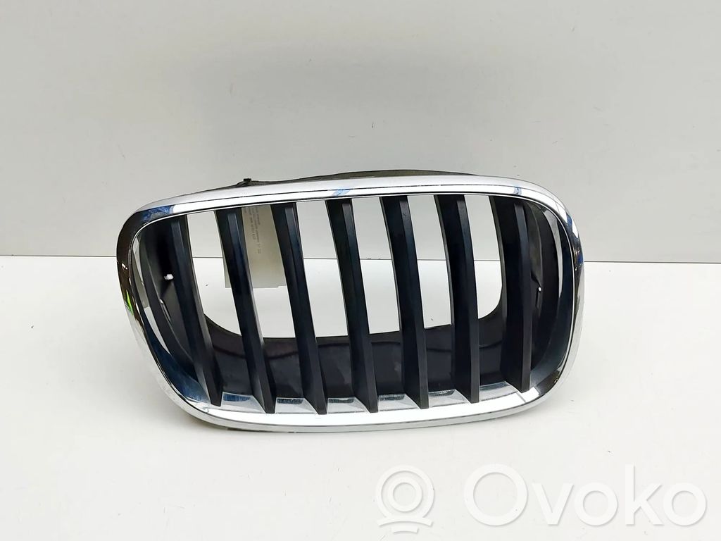 BMW X6 E71 Etusäleikkö 