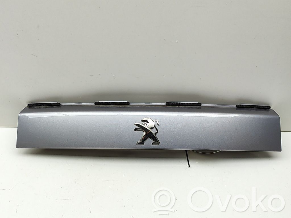 Peugeot 2008 II Éclairage de plaque d'immatriculation 