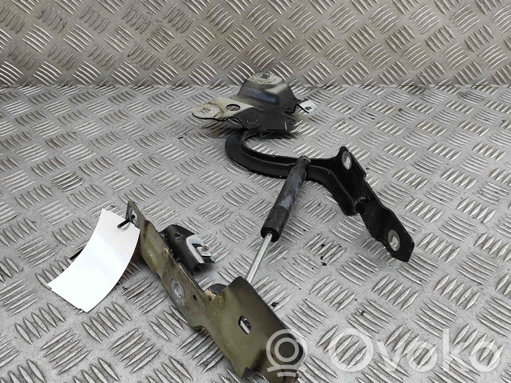 Renault Zoe Engine bonnet/hood hinges 