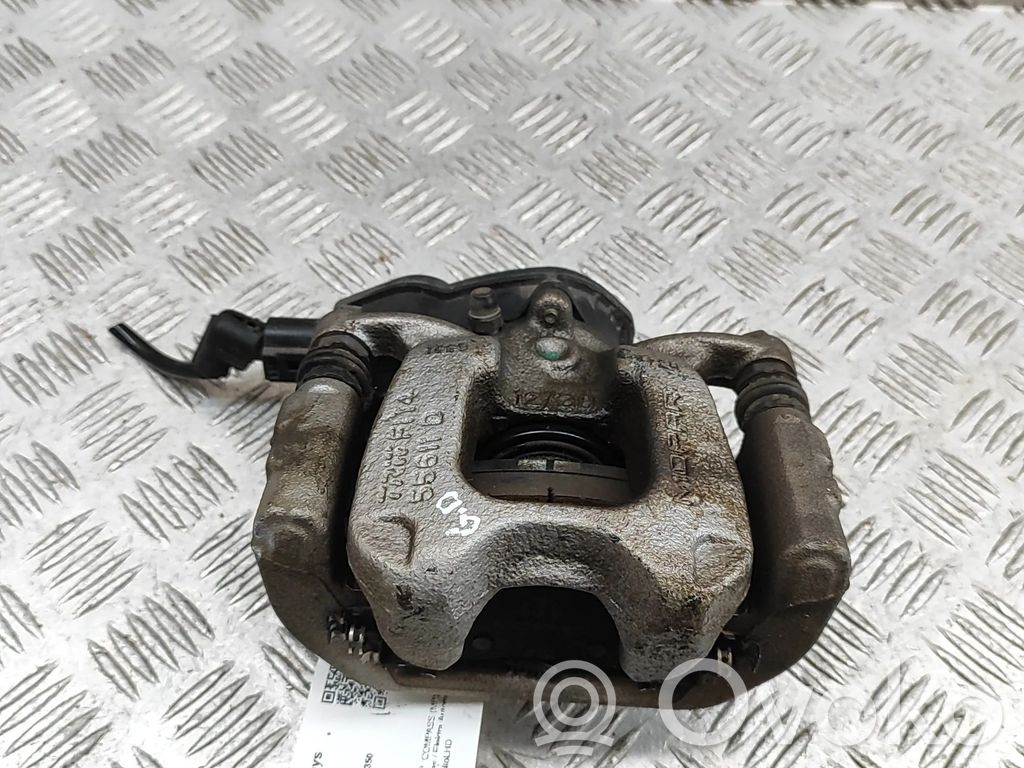 Takajarrusatula   52163471