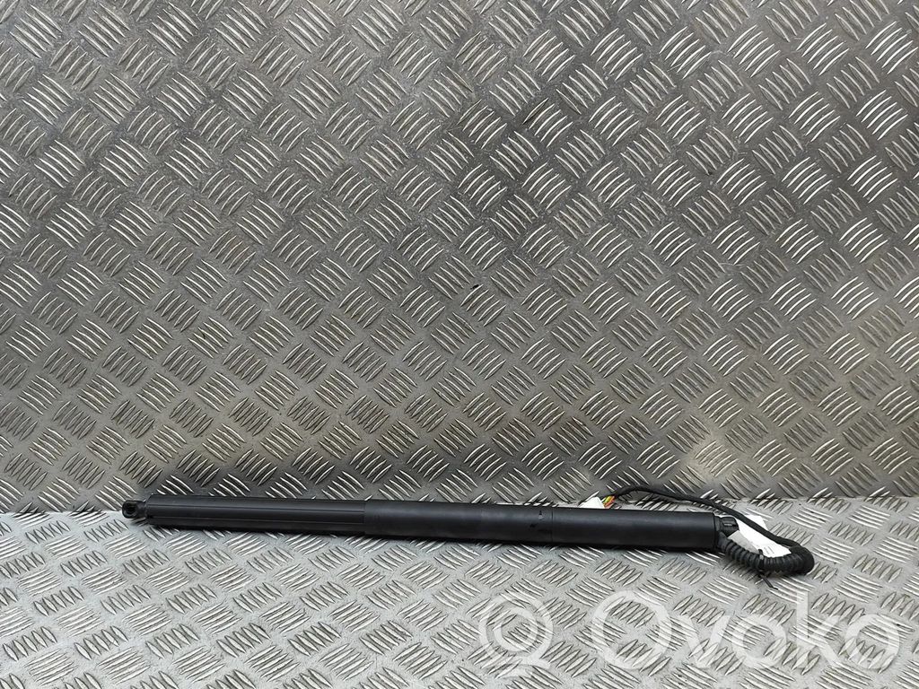 Tesla Model Y Juniper Tailgate/trunk strut/damper 