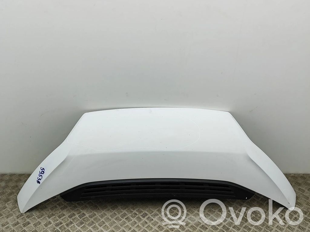 Fiat Ducato Motorhaube 