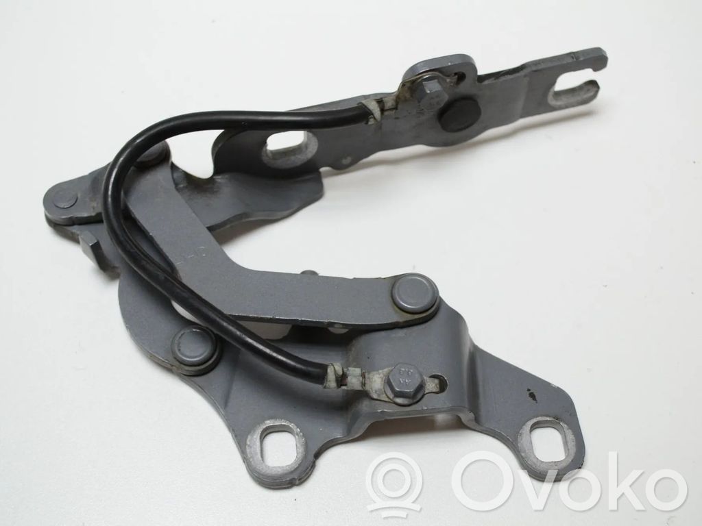 Bisagras del capó/tapa del motor   7060559