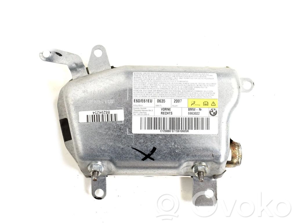 Airbag de la puerta delantera   6963022
