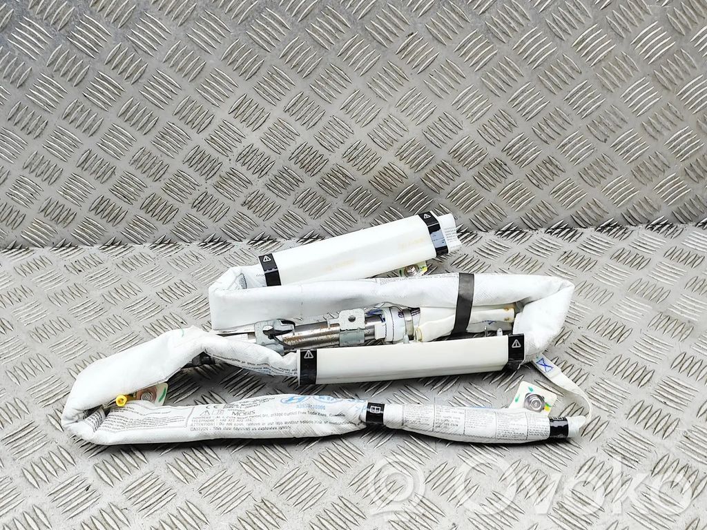 Airbag cortină   85010A2000