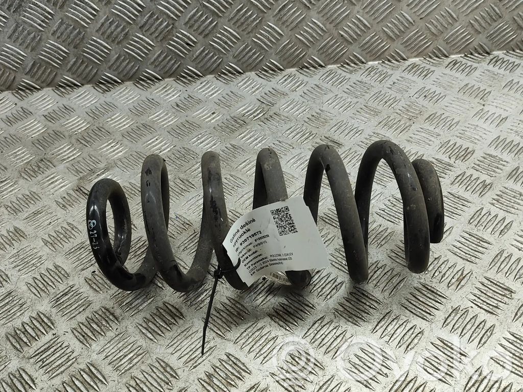 Polestar 2 Muelle espiral trasero 