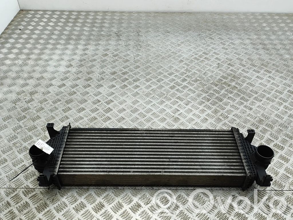 Radiator intercooler   55038004AD