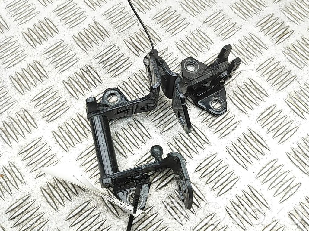 Tesla Model X Front door hinges set 