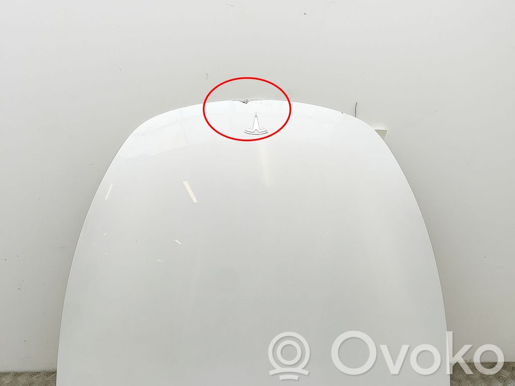 Tesla Model Y Dzinēja pārsegs (vāks) 