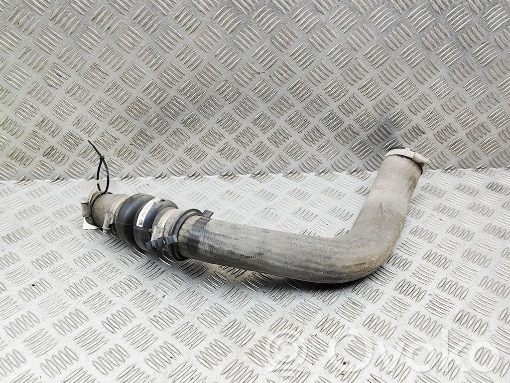 Ford Transit Furtun/conductă intercooler
