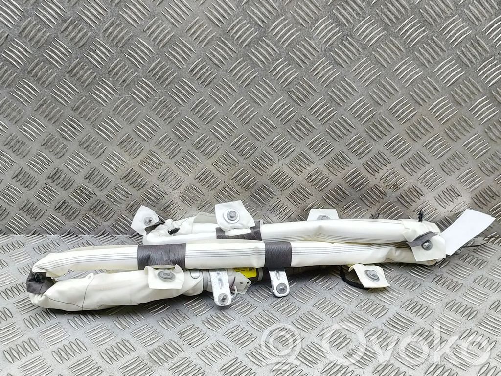 Tesla Model 3 Airbag cortină 
