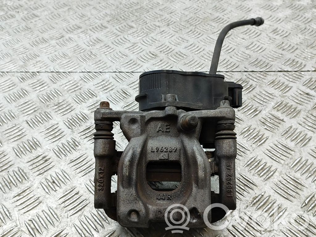 Takajarrusatula   A2474238200