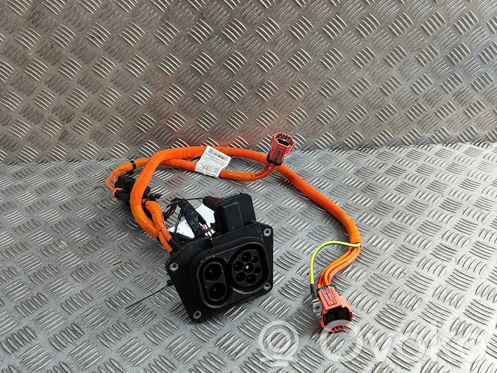 BYD Seal Cavo di ricarica per auto elettriche 