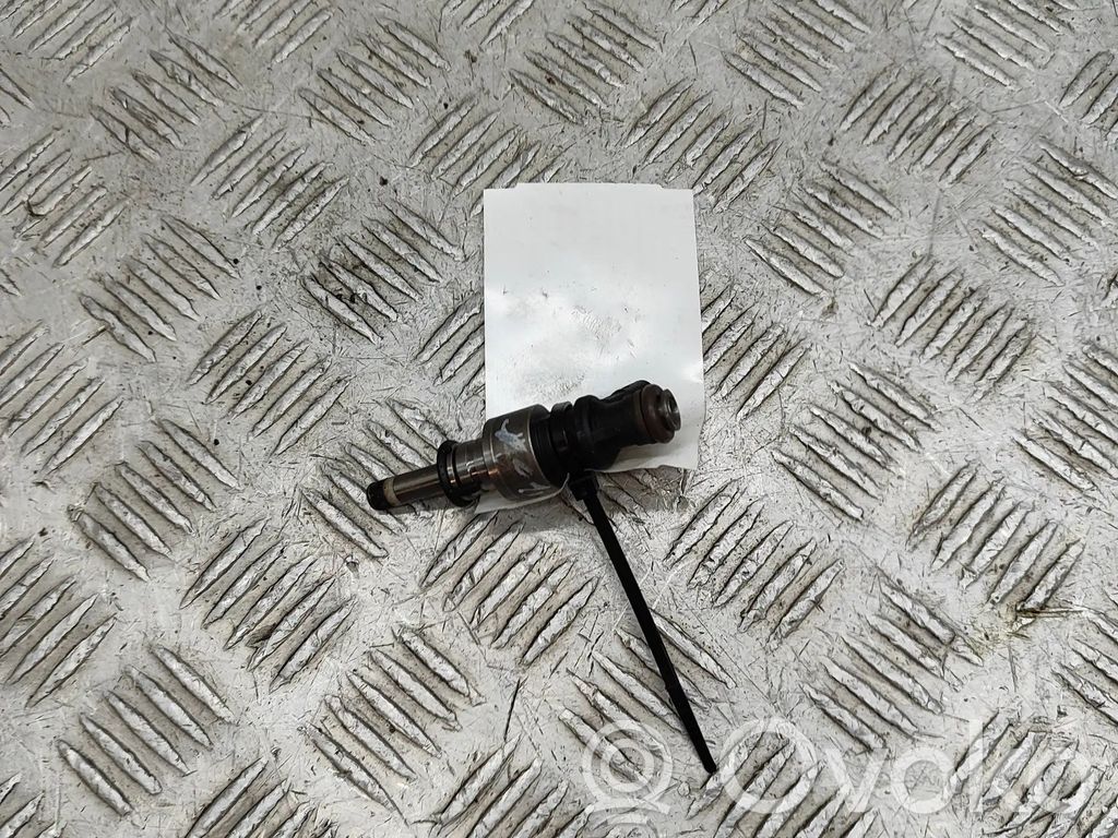 Injector combustibil   1079036N