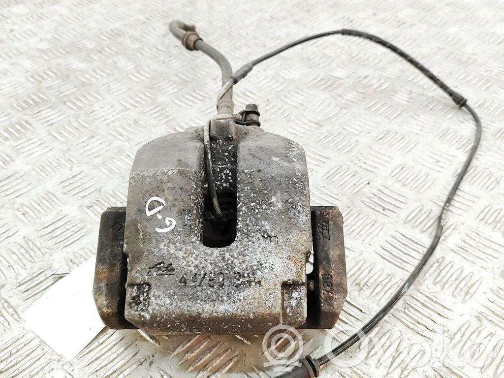 Takajarrusatula   6776936,6776937,6776788