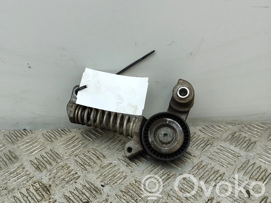 Volvo V40 Tendicinghia generatore/alternatore