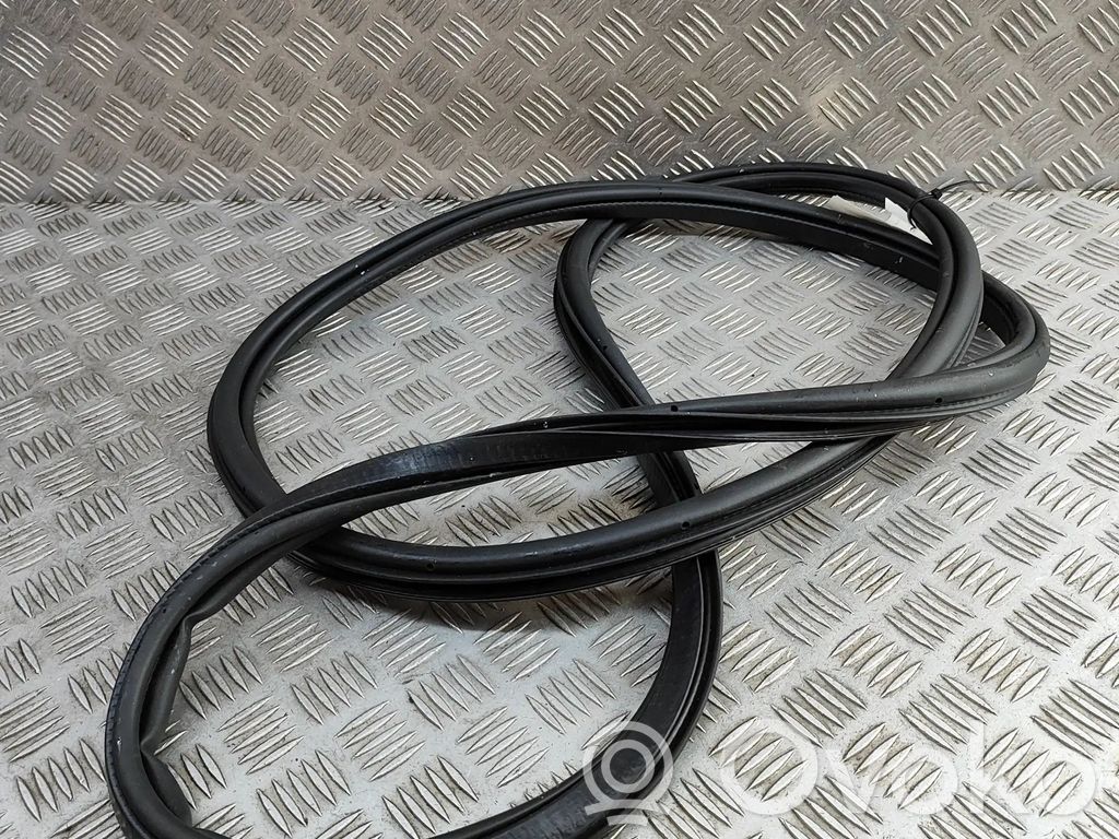 Polestar 2 Cheder cauciuc ușă față coupe 