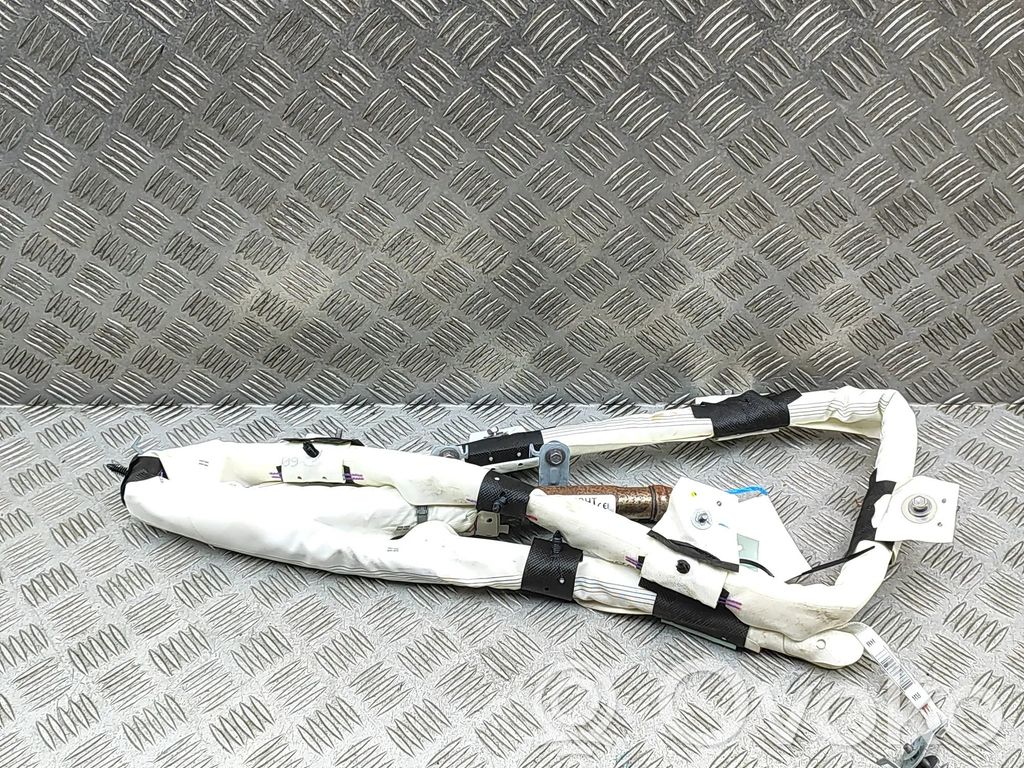 Kopfairbag   1077828CNE