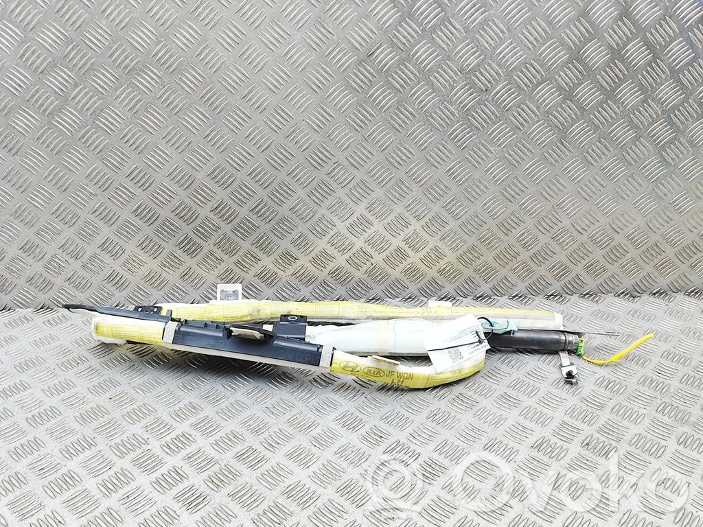 KIA Optima Airbag del techo
