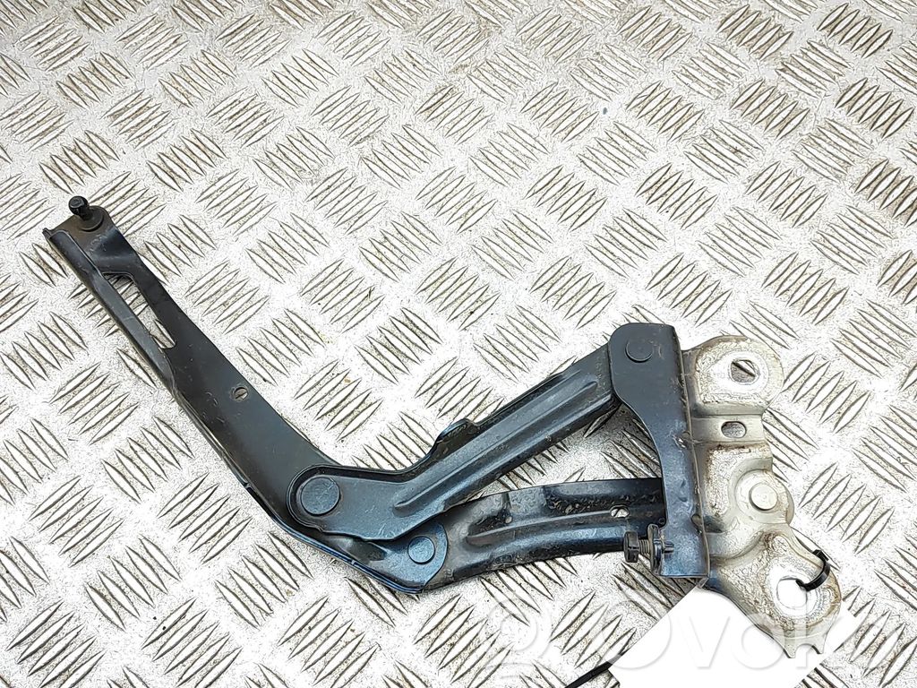 Skoda Superb B8 (3V) Cerniere del vano motore/cofano