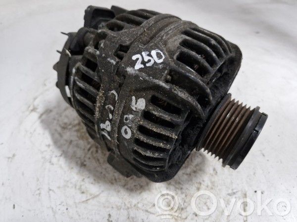 Generator/alternator   8676498,0124525029