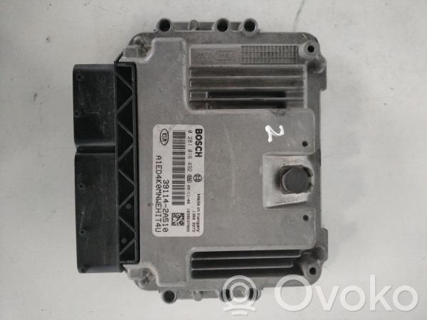 Engine control unit/module   0281016492,391142A510