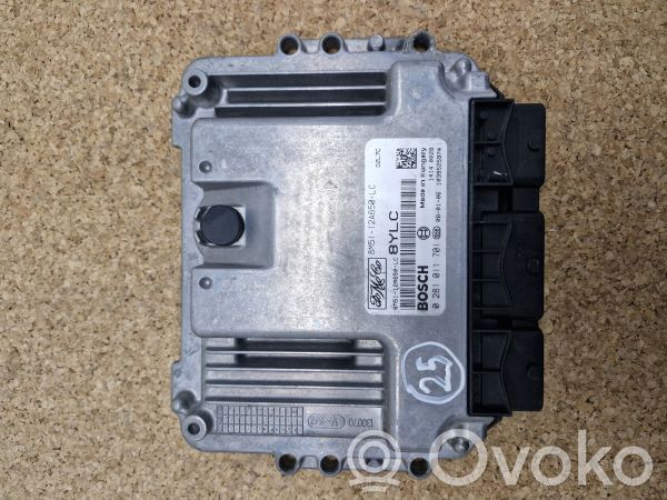 Variklio valdymo blokas   8M5112A650LC,0281011701