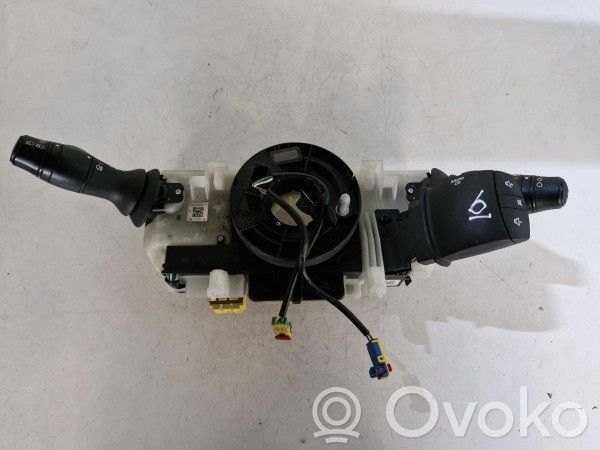 Multifunctional control switch/knob   255670007R