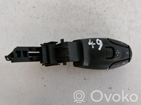 Multifunctional control switch/knob   96538207XT