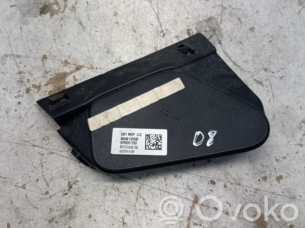 BMW X3 G01 Etupuskurin alempi jäähdytinsäleikkö 