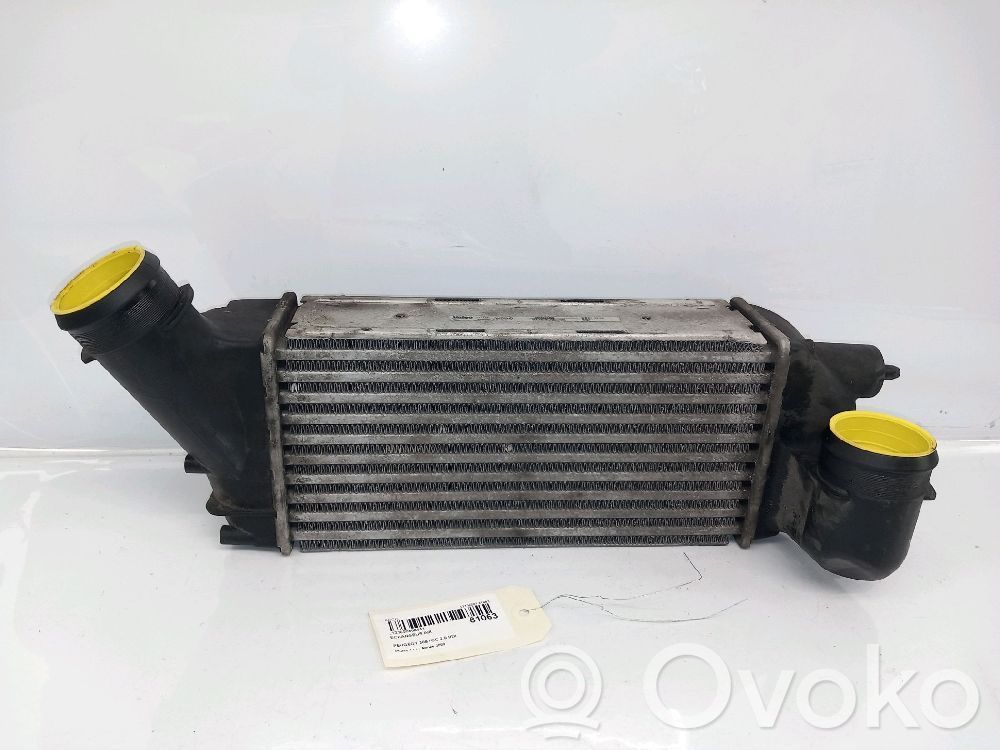 Peugeot 308cc Kita variklio skyriaus detalė 