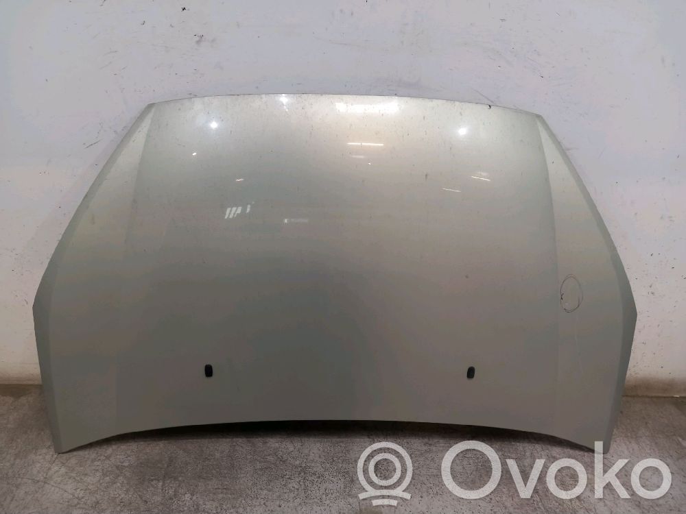 Engine bonnet/hood   1569486,1569486