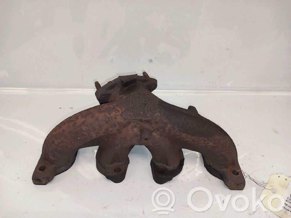 Peugeot 206 Exhaust manifold 