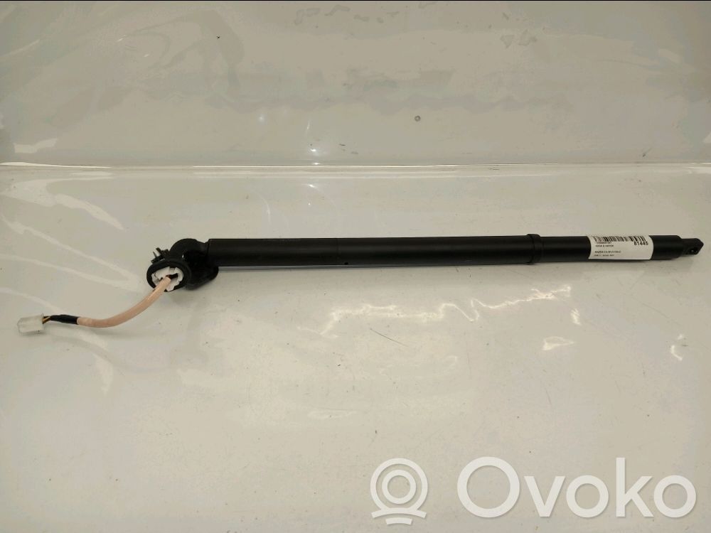 Tailgate/trunk strut/damper   DFR7636EXD,DFR7636EXD