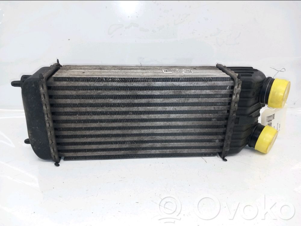 Citroen C3 Kita variklio skyriaus detalė 